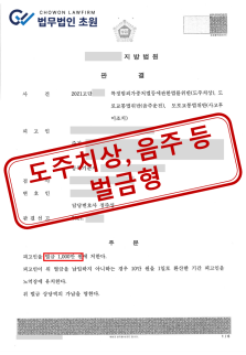 만취 음주운전 뺑소니.png